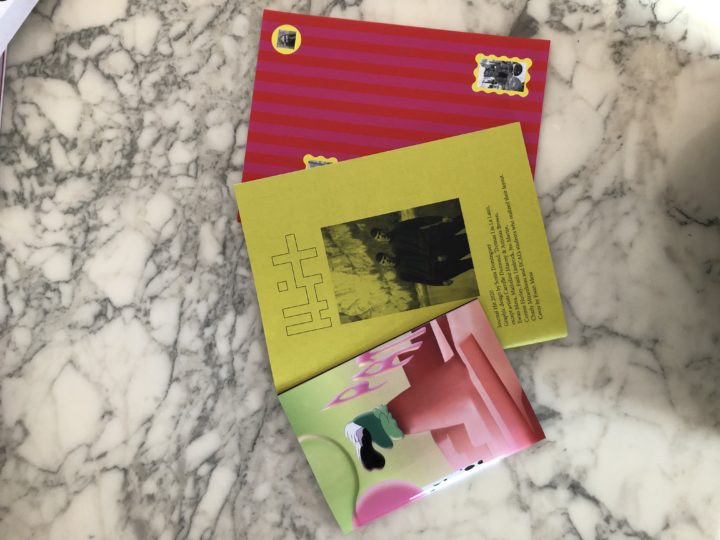    Journal 2020 HIT Anne Minazio